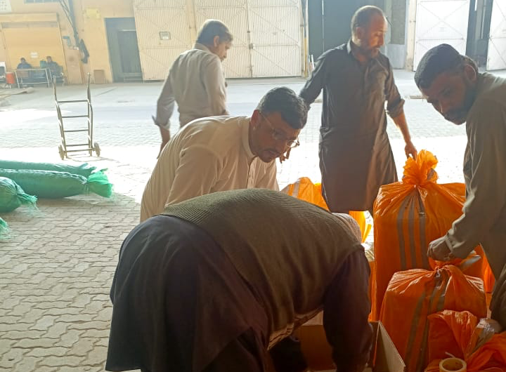 Professional workers